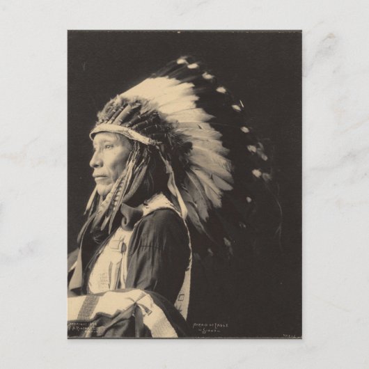 Carte Postale indien vintage : Craid of Eagle, Sioux - (Devant)