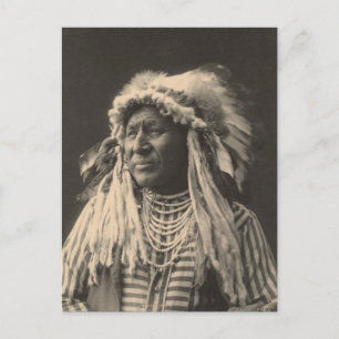 Carte Postale indien vintage : Cygne blanc, Corbeau -