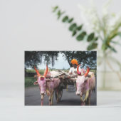 Carte postale indienne (Debout devant)