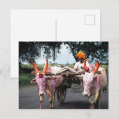 Carte postale indienne (Devant / Derrière)