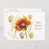 Carte postale indienne Blanche (Devant / Derrière)