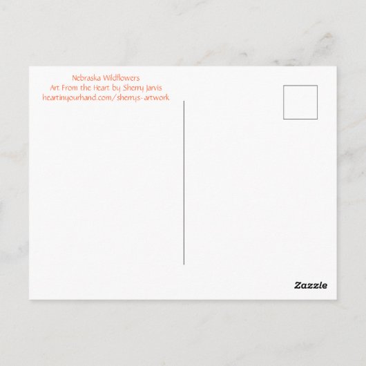 Carte postale indienne Blanche (Dos)