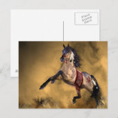 Carte postale indienne Horse (Devant / Derrière)