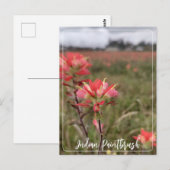 Carte postale indienne Paintbrush (Devant / Derrière)