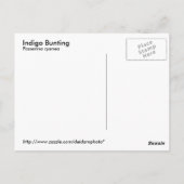 Carte postale Indigo Bunting (Dos)