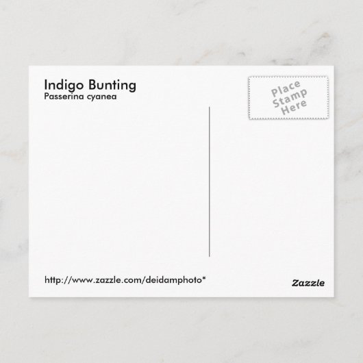 Carte postale Indigo Bunting (Dos)
