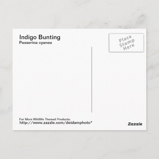 Carte postale Indigo Bunting (Dos)