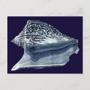 Carte Postale Indigo Shells I