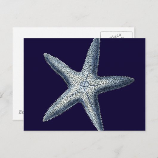 Carte Postale Indigo Shells IV (Devant / Derrière)