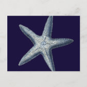 Carte Postale Indigo Shells IV (Devant)