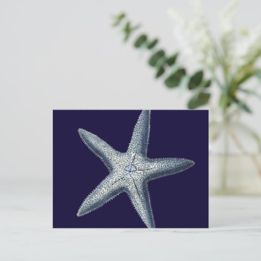 Carte Postale Indigo Shells IV (Debout devant)