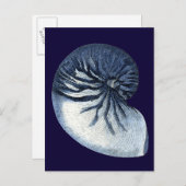 Carte Postale Indigo Shells VII (Devant / Derrière)