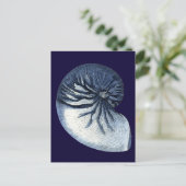 Carte Postale Indigo Shells VII (Debout devant)