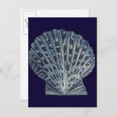 Carte Postale Indigo Shells VIII (Devant / Derrière)