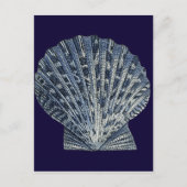 Carte Postale Indigo Shells VIII (Devant)