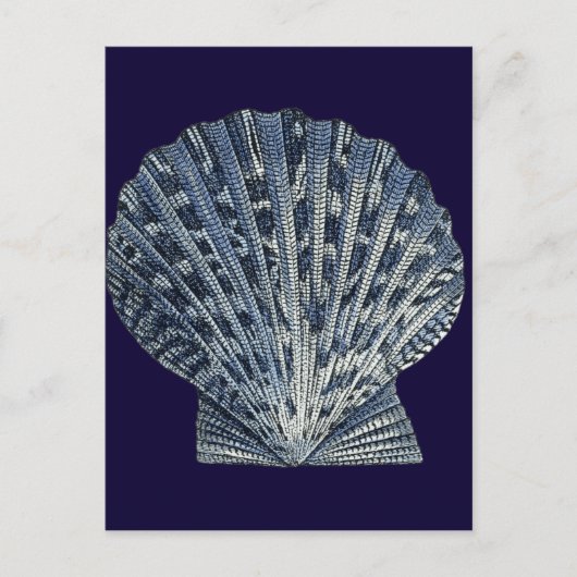 Carte Postale Indigo Shells VIII (Devant)