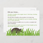 Carte Postale Informations amusantes sur Armadillos (Devant / Derrière)