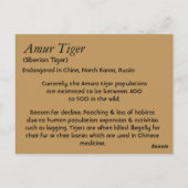 Carte Postale Informations sur l'espèce de tigre d'Amur (Dos)