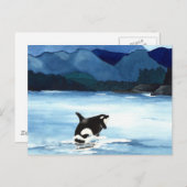 Carte Postale Infraction d'orque (Devant / Derrière)