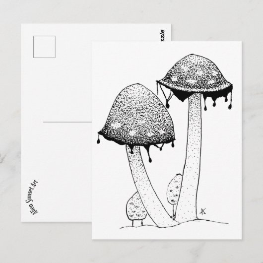Carte Postale Inkycap (Devant / Derrière)