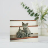 Carte postale Innocence (Debout devant)