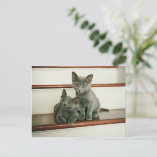 Carte postale Innocence (Debout devant)