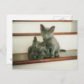 Carte postale Innocence (Devant / Derrière)