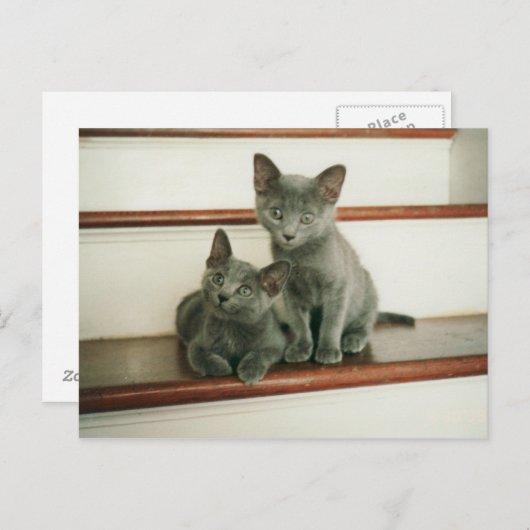 Carte postale Innocence (Devant / Derrière)