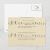 Carte Postale Insane, statistique US Lithograph 1870 (Devant / Derrière)