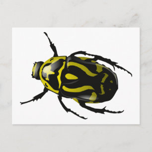 Carte Postale Insecte du scarabée jaune et noir