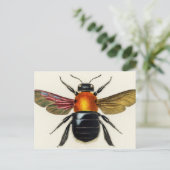 Carte Postale Insecte vintage illustrée (Debout devant)