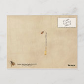 Carte Postale Insectes, coquillages et papillons (Dos)