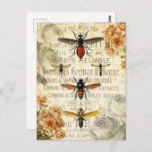 Carte Postale Insectes d'abeilles vintages (Devant / Derrière)