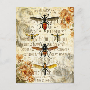Carte Postale Insectes d'abeilles vintages