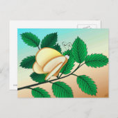 Carte Postale Insectes dans le miroir - Papillon de pain (Devant / Derrière)