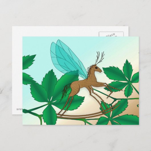 Carte Postale Insectes de verre - Rocheuse-Fly (Devant / Derrière)