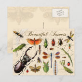 Carte Postale Insectes - les organismes les plus divers de la te (Devant / Derrière)