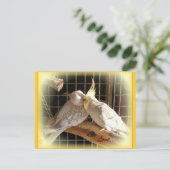 Carte postale Inséparable (Debout devant)