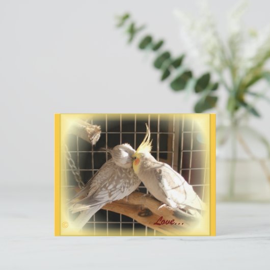 Carte postale Inséparable (Debout devant)