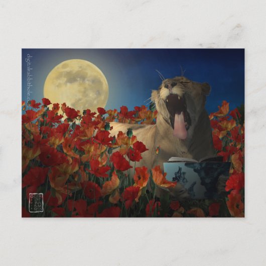 Carte Postale Insomnie (Devant)