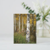 Carte postale Inspirante (Debout devant)