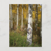 Carte postale Inspirante (Devant)