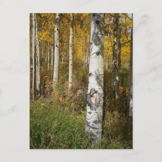 Carte postale Inspirante (Devant)