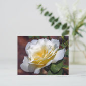 Carte postale Inspiration Blooming (Debout devant)