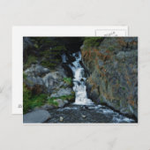 Carte Postale Inspiration de McCugh Creek (Devant / Derrière)