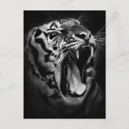 Carte Postale Inspiration de tigre noir et blanc (Devant)