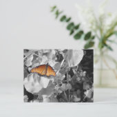 Carte Postale Inspiration Monarque Papillon photo noir blanc (Debout devant)
