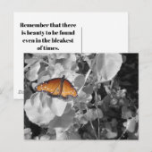 Carte Postale Inspiration Monarque Papillon photo noir blanc (Devant / Derrière)