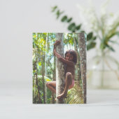 Carte Postale Inspirations. Arbres Escalades (Debout devant)