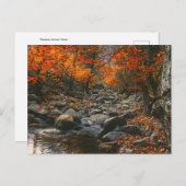 Carte Postale Inspirations de la nature Roumanie, Forêt d'automn (Devant / Derrière)